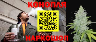 крисы Дубна