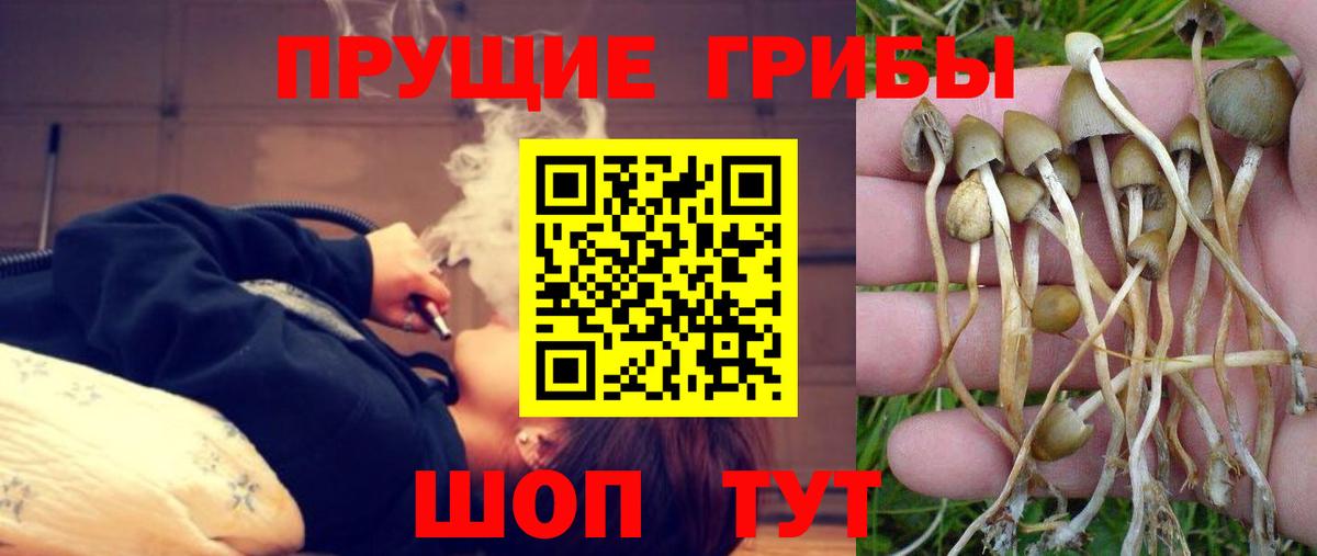 Галлюциногенные грибы мицелий Красногорск
